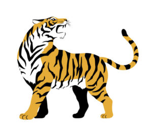 Tora